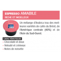 lot de 100 capsules café...